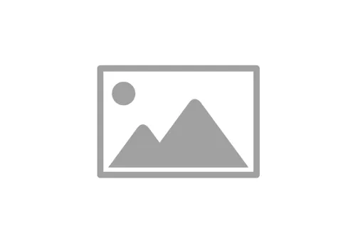 DEMO- Field Coordinator (2)